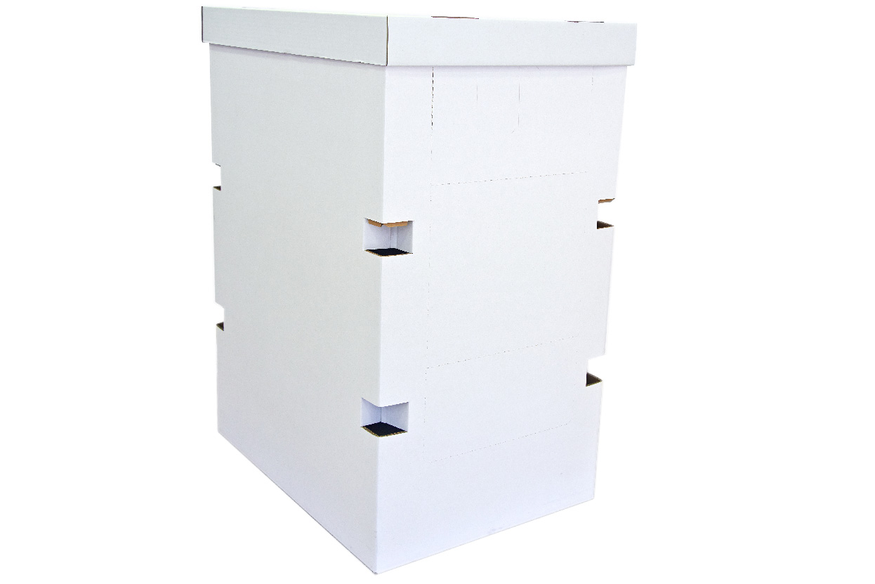 Patatas fritas y aperitivos