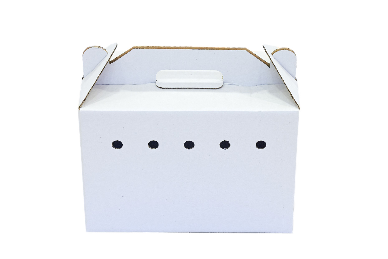 Transportín para animales